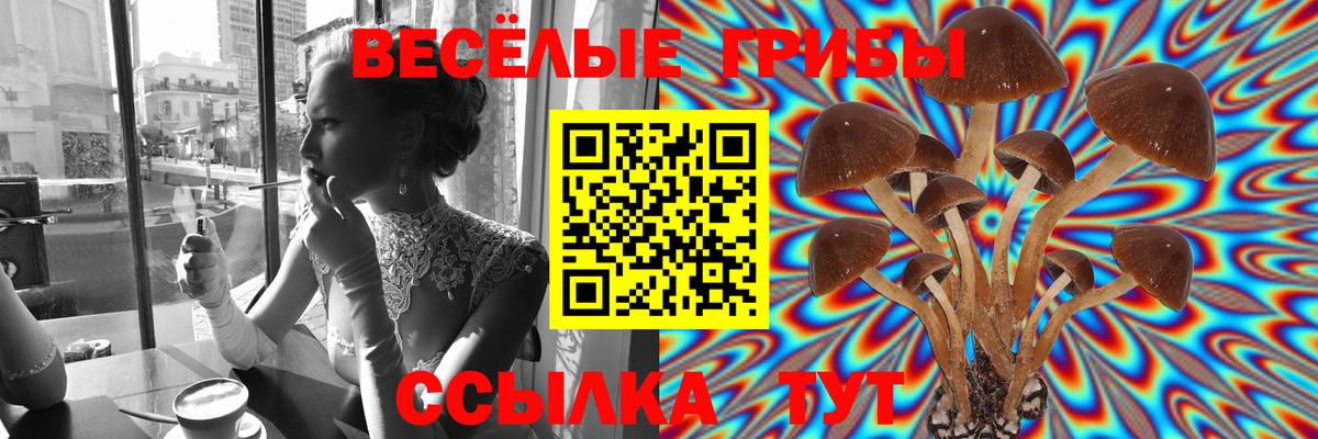 Галлюциногенные грибы Magic Shrooms  Вход с VPN  Сыктывкар  Псилоцибиновые грибы ЛСД 